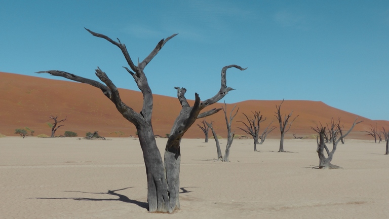 Deadvlei 2